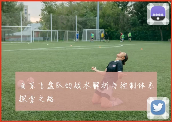 南京飞盘队的战术解析与控制体系探索之路