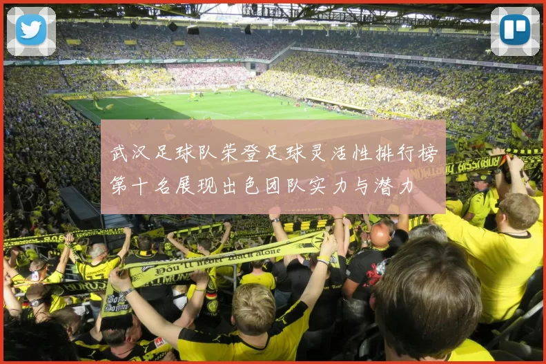 武汉足球队荣登足球灵活性排行榜第十名展现出色团队实力与潜力