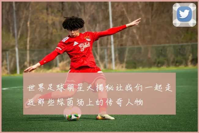 世界足球明星大揭秘让我们一起走近那些绿茵场上的传奇人物