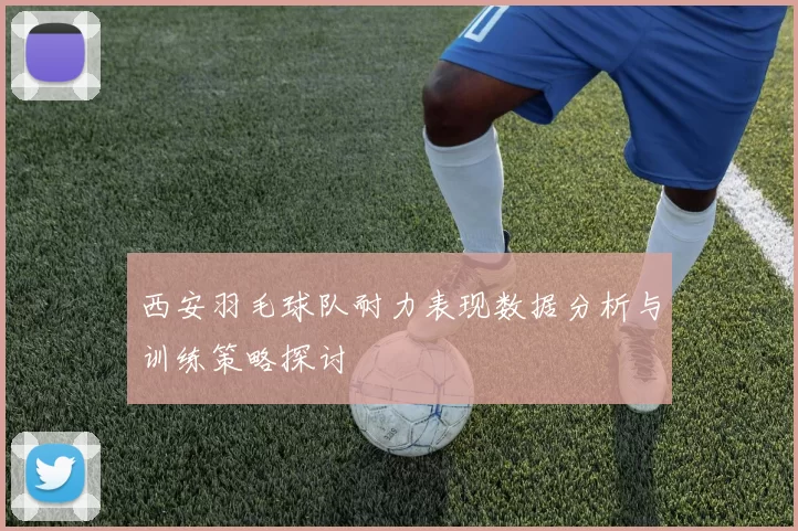 西安羽毛球队耐力表现数据分析与训练策略探讨