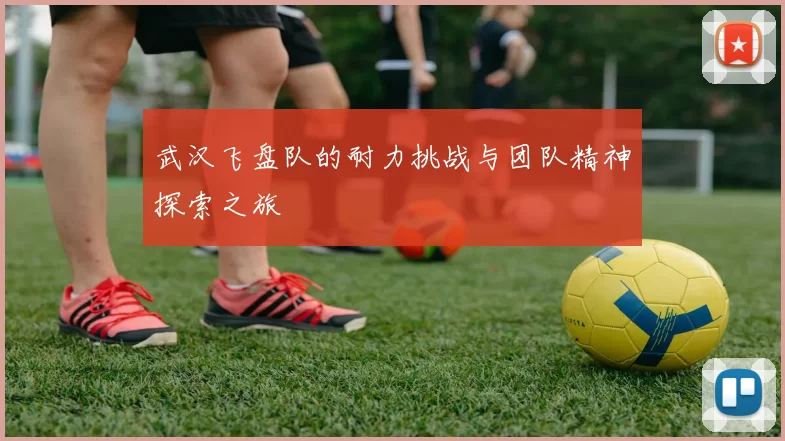 武汉飞盘队的耐力挑战与团队精神探索之旅