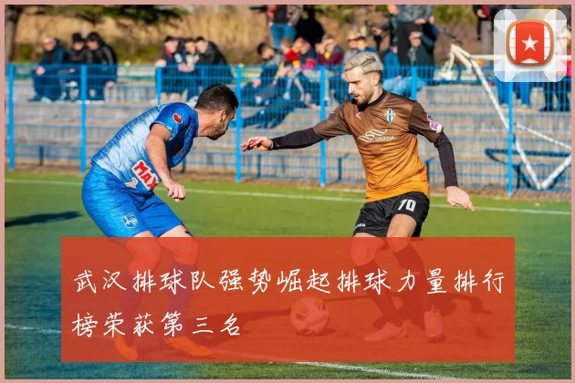 武汉排球队强势崛起排球力量排行榜荣获第三名
