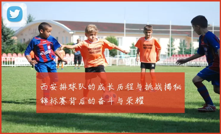 西安排球队的成长历程与挑战揭秘锦标赛背后的奋斗与荣耀