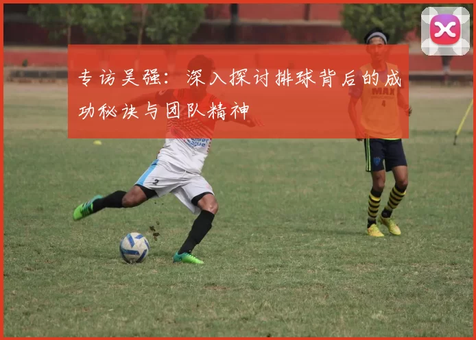 专访吴强：深入探讨排球背后的成功秘诀与团队精神