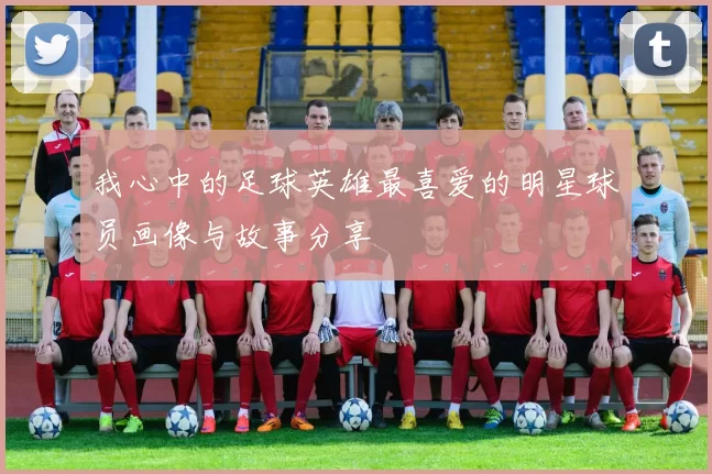 我心中的足球英雄最喜爱的明星球员画像与故事分享