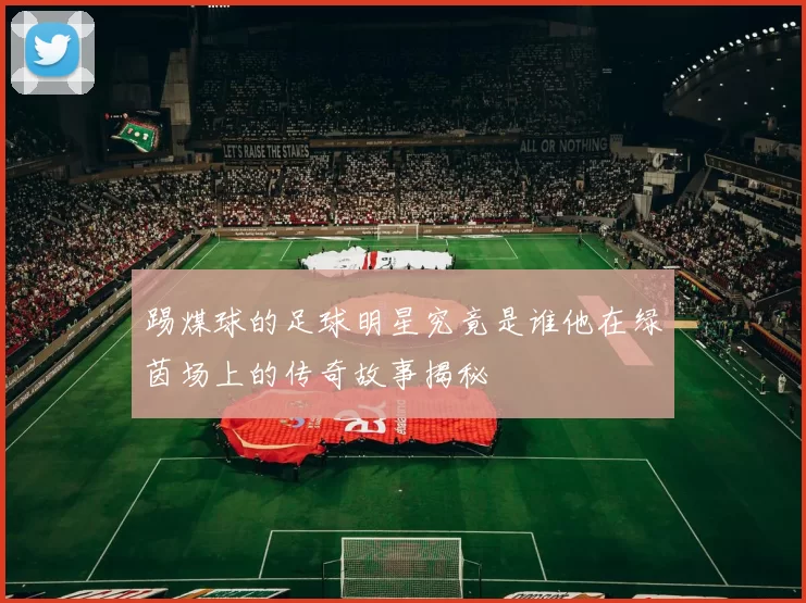 踢煤球的足球明星究竟是谁他在绿茵场上的传奇故事揭秘