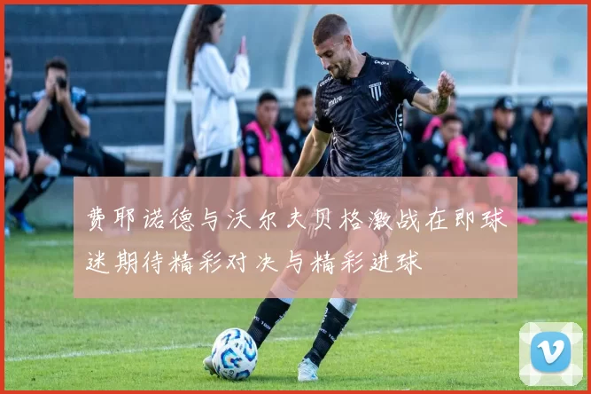 费耶诺德与沃尔夫贝格激战在即球迷期待精彩对决与精彩进球