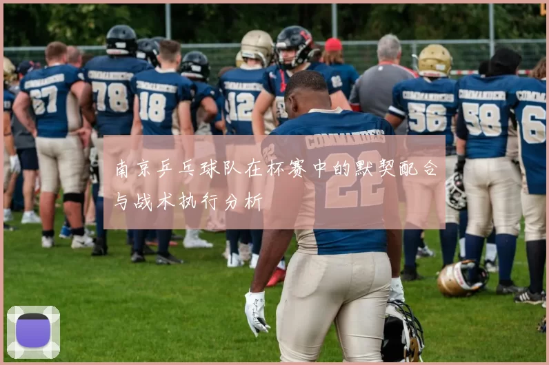 南京乒乓球队在杯赛中的默契配合与战术执行分析